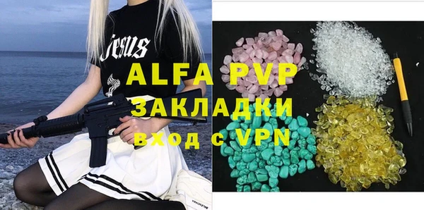 индика Беломорск